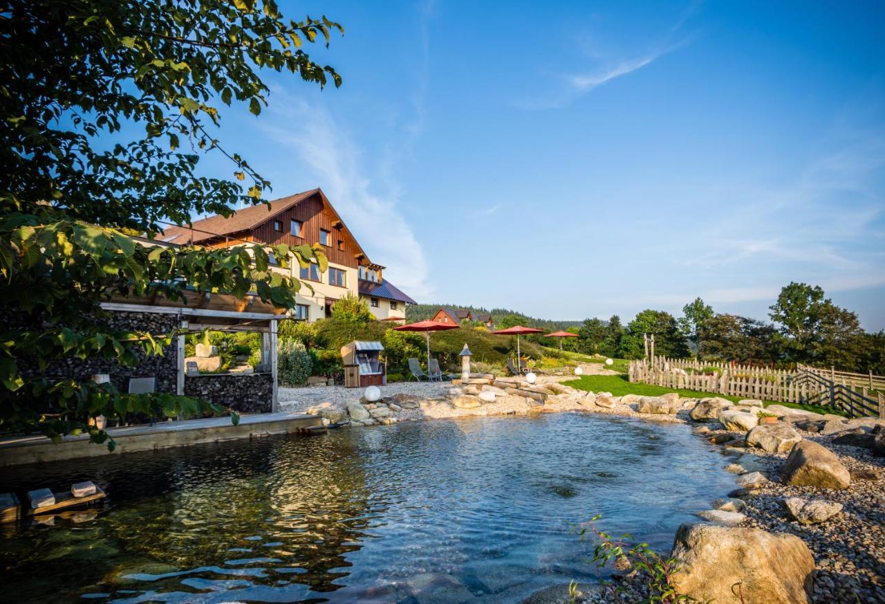 Wellness Hotel V Nebi Kořenov Екстериор снимка